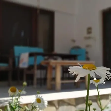 Ferienhaus Sunny Days House