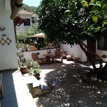Sunny Days House *