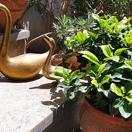 Sunny Days House Agia Kiriaki (Magnesia)