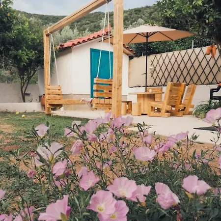Sunny Days House