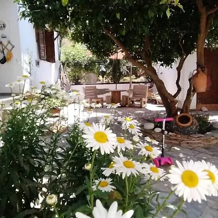 Sunny Days House Ferienhaus Agia Kiriaki (Magnesia)