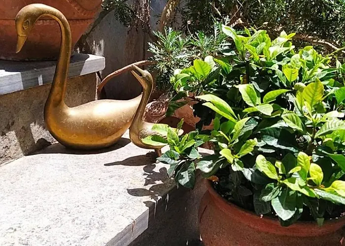 Sunny Days House Agia Kiriaki (Magnesia)